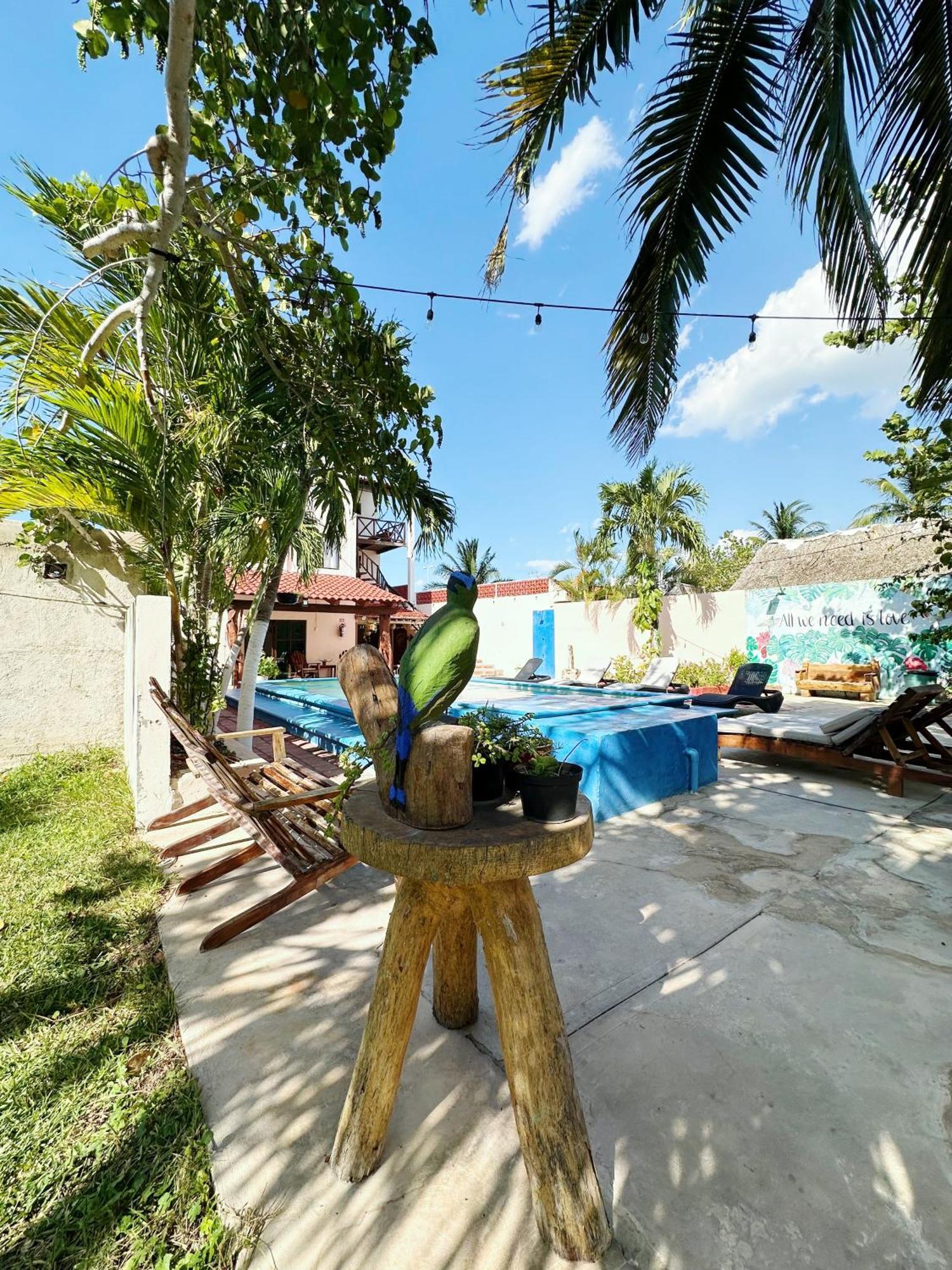 Posada El Perico Marinero Río Lagartos Exteriér fotografie